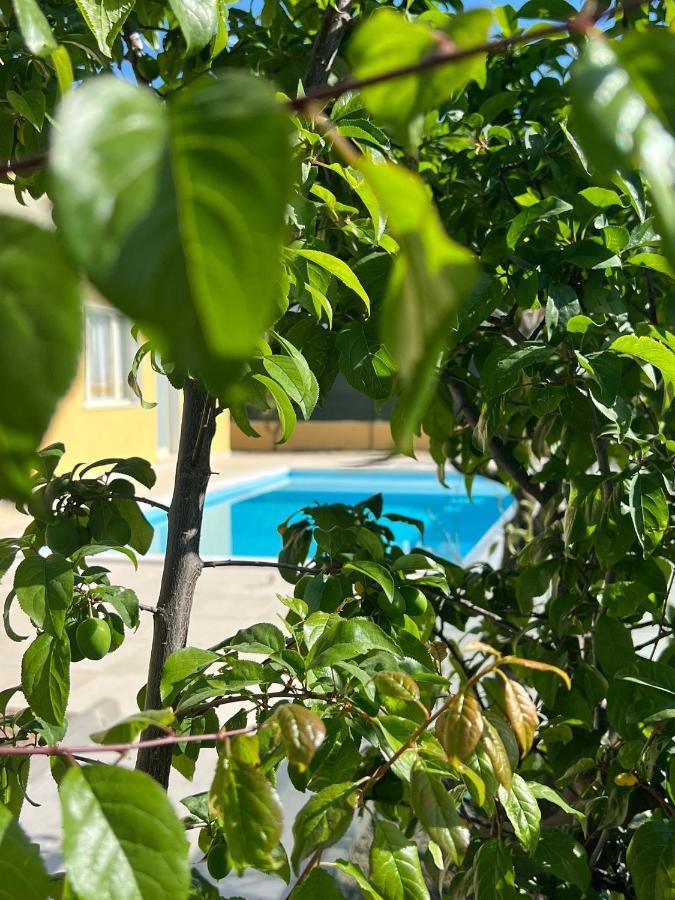 Casa Vacanze Mare Fuori Capoterra Zewnętrze zdjęcie